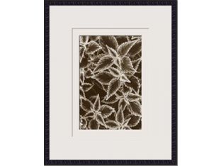 Garden Textures III 21.5W x 26H