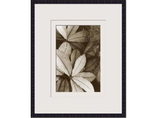 Garden Textures I 22W x 26H
