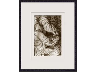 Garden Textures IV 21.5W x 26H