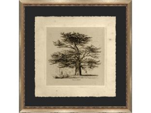 Cedar at Enfield 22.5W x 22.5H