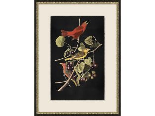 Birds Of Plenty 2 20.5W X 27.5H