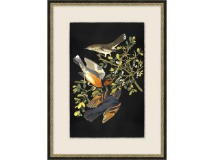 Birds Of Plenty 3 20.5W X 27.5H