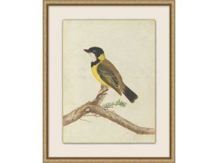 Birds Of Autumn 1 17.13W X 21.13H