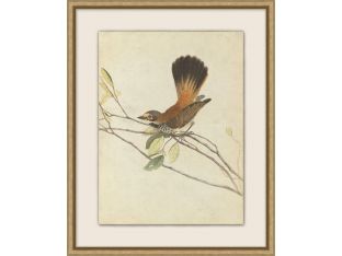 Birds Of Autumn 4 17.13W X 21.13H