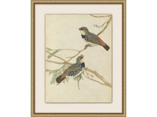 Birds Of Autumn 6 17.13W X 21.13H