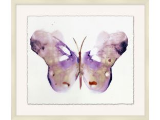Crystalline Butterflies 4 31W x 27H