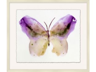 Crystalline Butterflies 5 31W x 27H