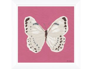White Monarch in Pink 39W x 39H