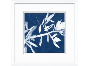Cyanotype Blues VI 15W x 15H
