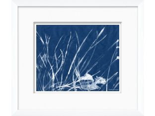 Cyanotype Blues VII 16W x 14H