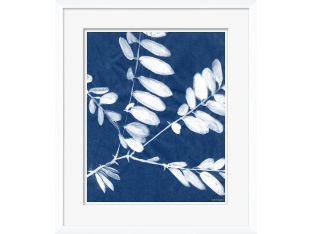 Cyanotype Blues VIII 19W x 22H