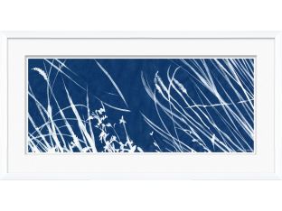 Cyanotype Blues IX 30W x 16H
