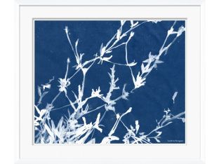 Cyanotype Blues X 28W x 24H